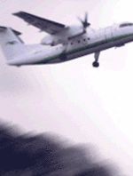 fly