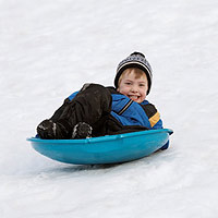 090211_havorn_AKTIVITETSKALENDER