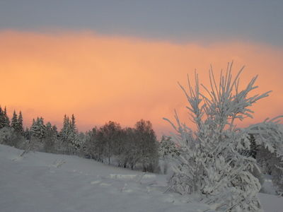 Rød morgenhimmel