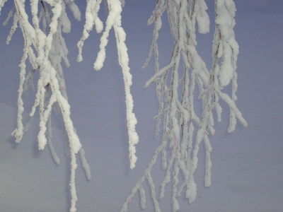 Greiner med snø Greiner med snø