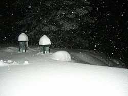 Moss,Norway,christmas,snow