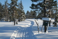 Idyllisk oppover Åsan, her fra trimpost 2 ved Bjørkholtet mot Kysingen. Foto: Harald Solvik