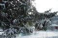 Vinterferieslutt med februarsnø, mens vi venter på at sola skal komme enda høyere for å varme oss mot våren. Foto: Willy