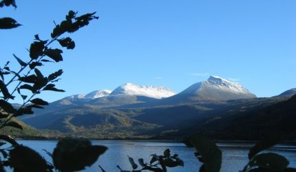 todalen