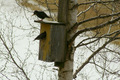 Innflytting og oppussing hos naboen! Foto: OleT
