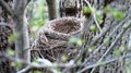 Trasten bygger tett hvert år og spør ikke om løyve. Klikk for større bilde. Foto: Willy