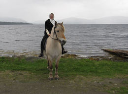 stangvik8_1024x746