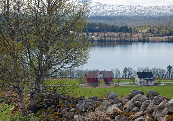 Grønlivatnet