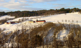 Bjørnås 2002