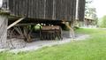 Rindal Bygdemuseum åpnet sesongen 20. juni og sola stakk innom gammelt landbruksutstyr. Klikk meg større. Foto: Willy