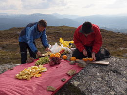 frukt til alle
