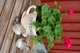 eli moen blomster 5