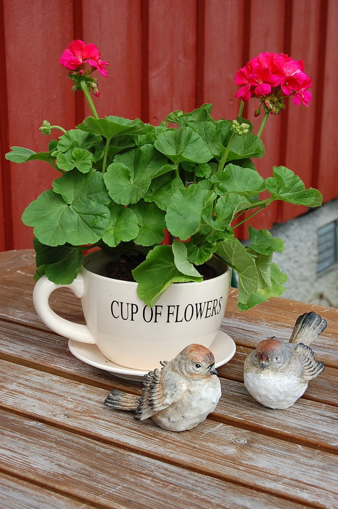 eli moen blomster 5