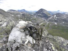 43 Fra toppvarden på Trollhøtta, fra venstre Fruhøtta, Snota, Rognnebba, Botnebba med Neådalssnota bak