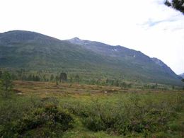 Storlifjellet