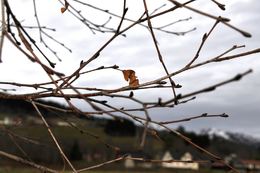 nov10 1 side 007_1024x680