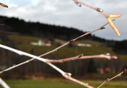 nov10 1 side 008_1024x709