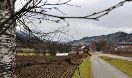 nov10 1 side 020_1024x602