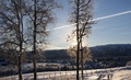 Strålande morgon Foto: Anne S.