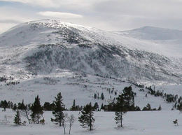 Lysskinn på Bakhatten - foto Børge Sundli