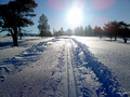 Mot lysare tider. Foto: OleT