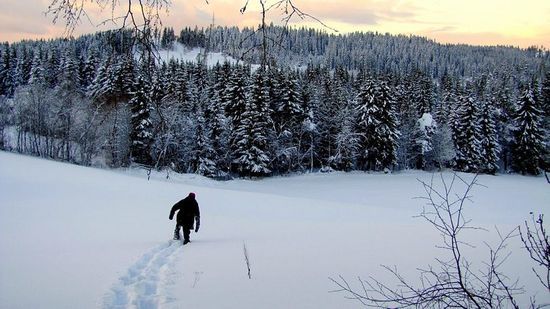 snøfall_550x309