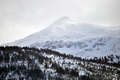 Knyken er dekt av nysnø, så våren lar vente på seg en stund til. Foto:Mari Vattøy. Klikk meg større.