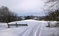 Utråkka løyper og urørt snø som ligger og frister kan være en vel så stor opplevelse som en dag i tråkkemaskinas nypreparerte terreng. Foto: Kari Moe