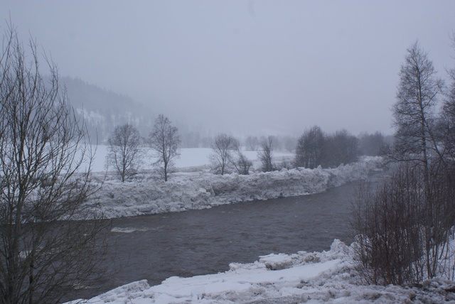 Høg iskant langs elva