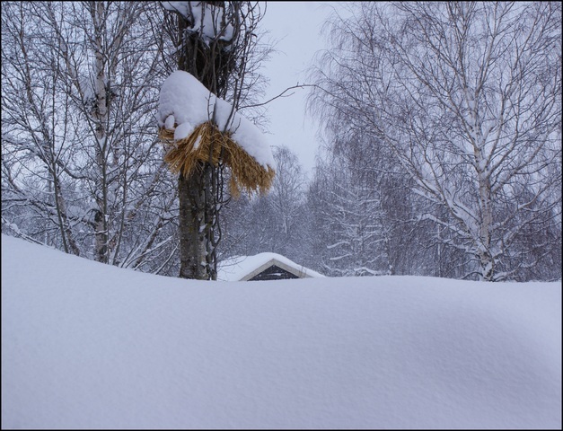 Det snør, det snør Det snør, det snør