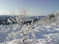 Ingrid Torvik har sendt oss et vinterbilde