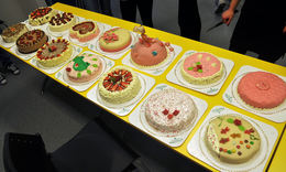 kaker alle_650x391