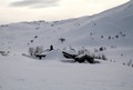 PÃ¥skehilsen til Trollheimsportens lesere fra Trond Moxnes