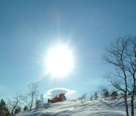 sol vår_450x385