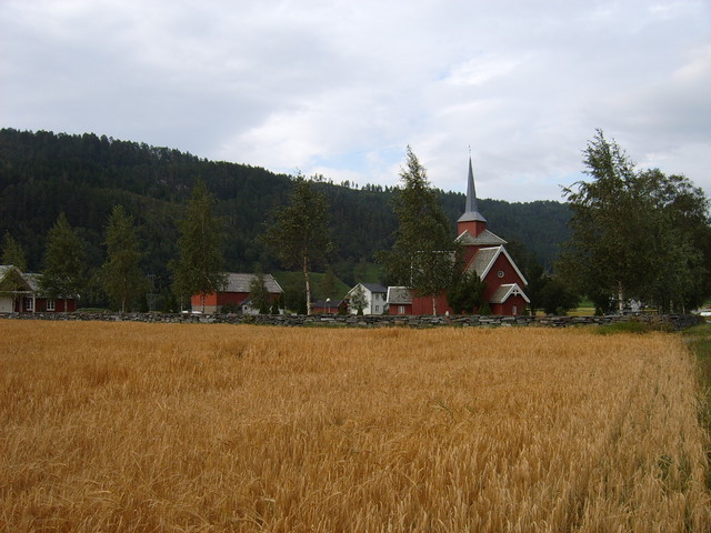 01 Kornåker 2006 020