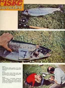 Edgar 1978 fiskejournalen b0001_1024x1380