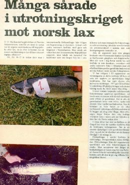 Edgar 1978 fiskejournalen0001_1024x1457