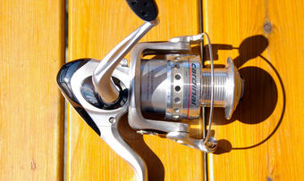 IMGP3663_600x466