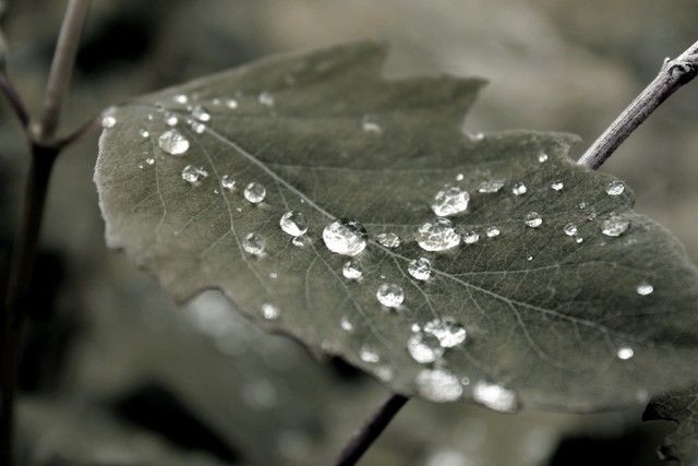 IMG_0440_640x427