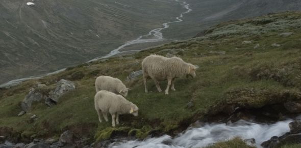 Naturarkivet-BB_06_0084