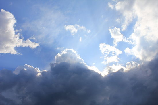 IMG_0113_550x367