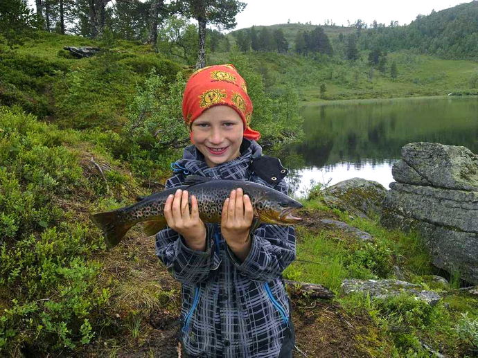 Bilde fra Damvatnet!