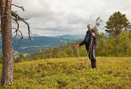 2-Duvåsen
