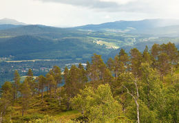 3-Duvåsen