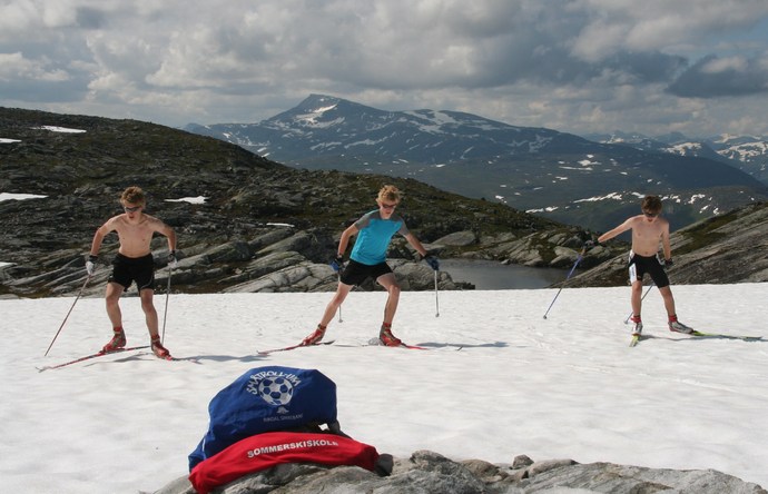 Vebjørn Bævre, Tølløv Lyngstad og Aksel Norli