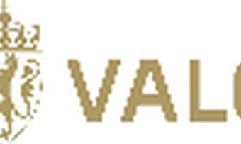 Valg - Lite_39837