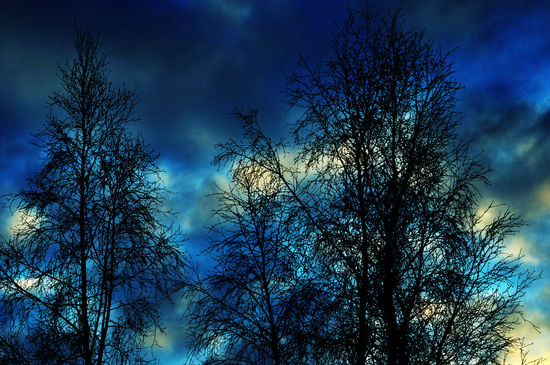 tre2_550x365