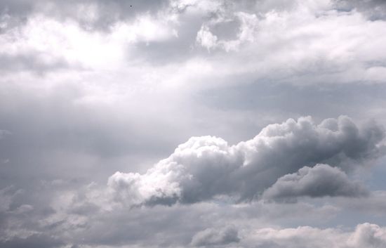 IMG_3766_550x353