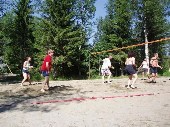 Volleyball_550x413