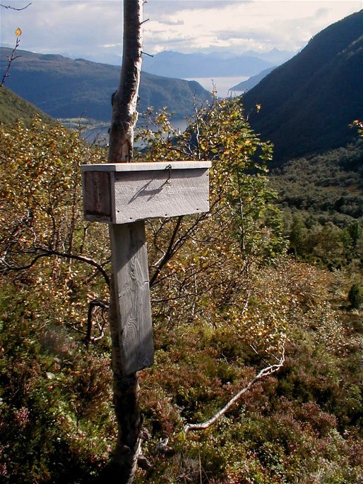 04 SKARHAUGEN ny